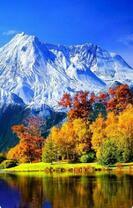 Коробка 25 шт. картин по номерам BOX25-GXS34600