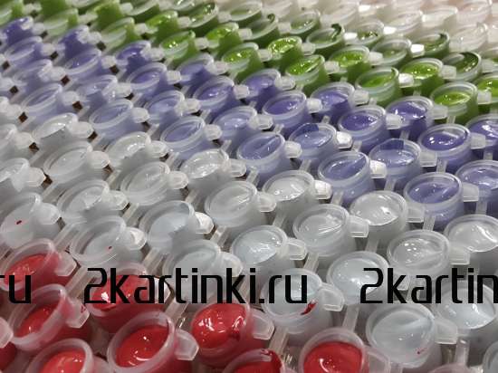 Картина по номерам 40x50 VA-2775 Волки среди гор за 609 руб.  в интернет-магазине  Картина по номерам 40x50 Волки среди гор