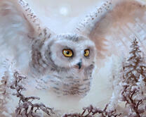 Без бренда «2KMB-3848» в Самаре