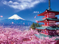 Без бренда «2KSB-7277» в Самаре