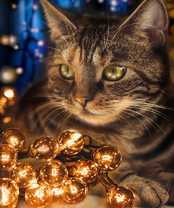 Без бренда «2KXSB-0678» в Самаре