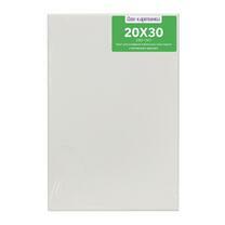 Без бренда «Коробка 80 шт.: Холст Две картинки на подрамнике 20X30» в Самаре