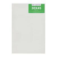 Без бренда «Коробка 40 шт.: Холст Две картинки на подрамнике 30X45» в Самаре