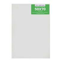 Без бренда «Коробка 20 шт.: Холст Две картинки на подрамнике 50X70» в Самаре