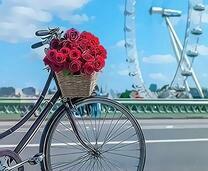 Велосипед с красными розами на фоне колеса обозрения