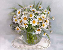 Без бренда «Букет ромашек с колосками в круглой вазе (20шт)» в Самаре