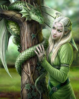 Без бренда «Коробка 20 шт: Дракон и эльф» в Самаре