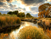 Без бренда «BOX25-GX29355» в Самаре