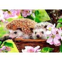 Ежики среди цветочков