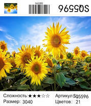 SQ5596