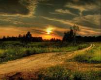 Без бренда «Проселочная дорога на закате» в Самаре