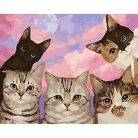 Без бренда «Такие разные котики» в Самаре