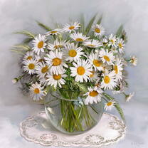 Без бренда «Букет свежих ромашек» в Самаре