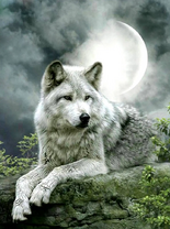 Без бренда «Коробка 25 шт. картин по номерам BOX25-GX21058» в Самаре