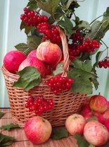 Без бренда «Коробка 25 шт. картин по номерам BOX25-GX5174» в Самаре