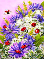 Божьи коровки на сиреневых цветах