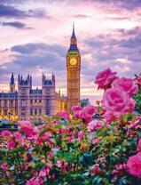 Биг Бен и цветущие розы
