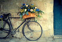 Велосипед с корзиной цветов