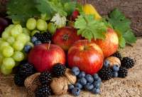 Без бренда «Фрукты, ягоды и орехи» в Самаре в интернет-магазине Без бренда «Фрукты, ягоды и орехи» в Самаре