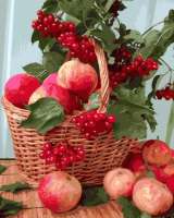 Без бренда «Плетёная корзина с калиной и яблоками» в Самаре