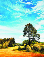 Без бренда «Осенний пейзаж с голубым небом» в Самаре в интернет-магазине  Без бренда «Осенний пейзаж с голубым небом» в Самаре