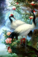 Без бренда «Коробка 25 шт. картин по номерам BOX25-GX29399» в Самаре в интернет-магазине  Без бренда «Коробка 25 шт. картин по номерам BOX25-GX29399» в Самаре