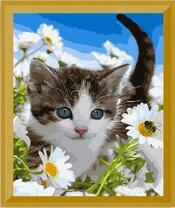 Маленький котёнок в ромашках и пчёлка