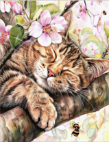 Без бренда «Волосатый котик спит на ветви яблони» в Самаре в интернет-магазине  Без бренда «Волосатый котик спит на ветви яблони» в Самаре