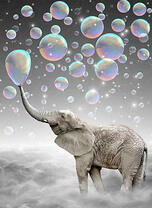 Слон пускает радужные мыльные пузыри